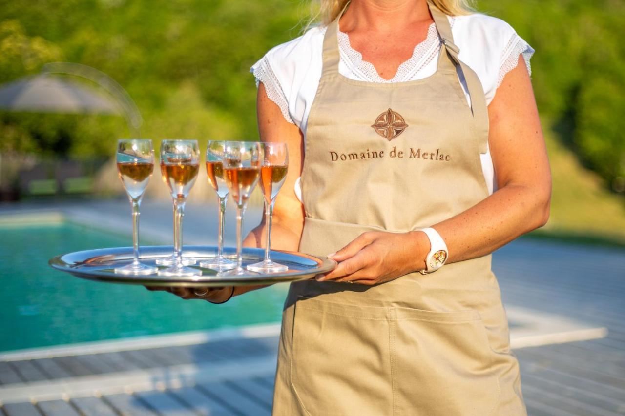 Domaine De Merlac Rieussec Luaran gambar